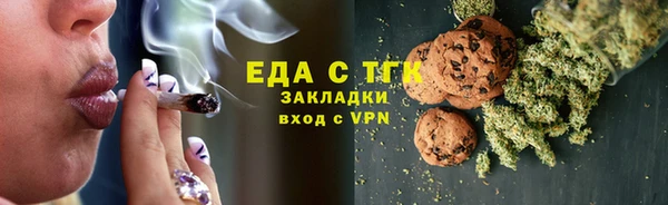 индика Анжеро-Судженск