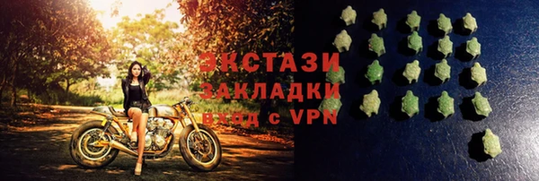 индика Анжеро-Судженск