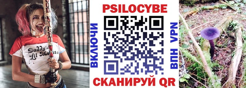 Псилоцибиновые грибы Psilocybine cubensis  mega   Иваново 