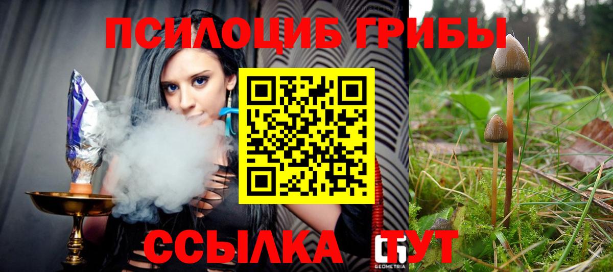 Псилоцибиновые грибы Psilocybe  Галлюциногенные грибы Psilocybine cubensis  Иваново 