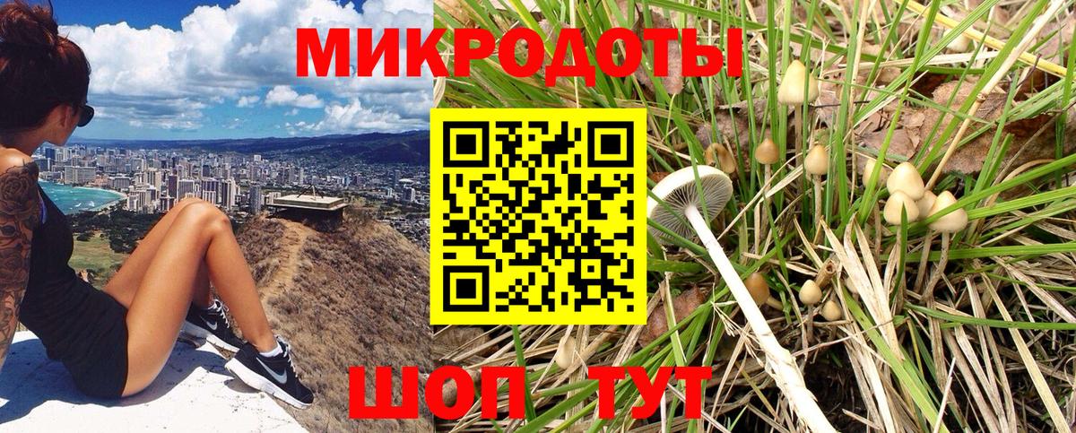 Галлюциногенные грибы Cubensis  Вход с VPN  Иваново 